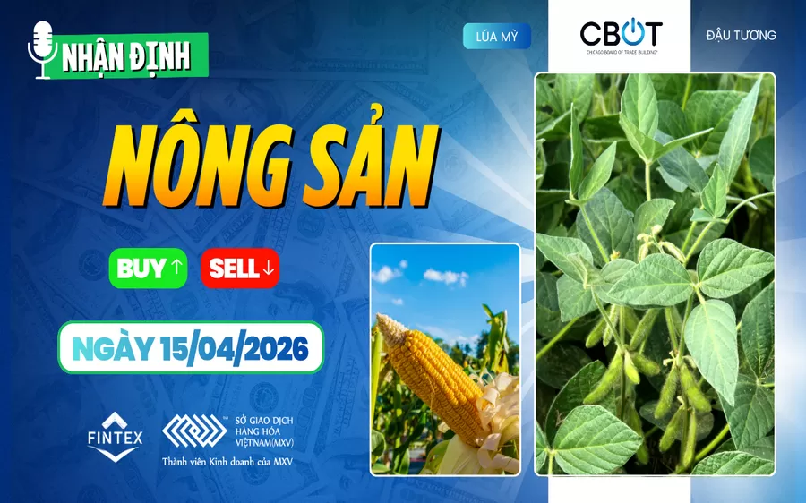 NHẬN ĐỊNH THỊ TRƯỜNG NÔNG SẢN NGÀY 15/04/2026